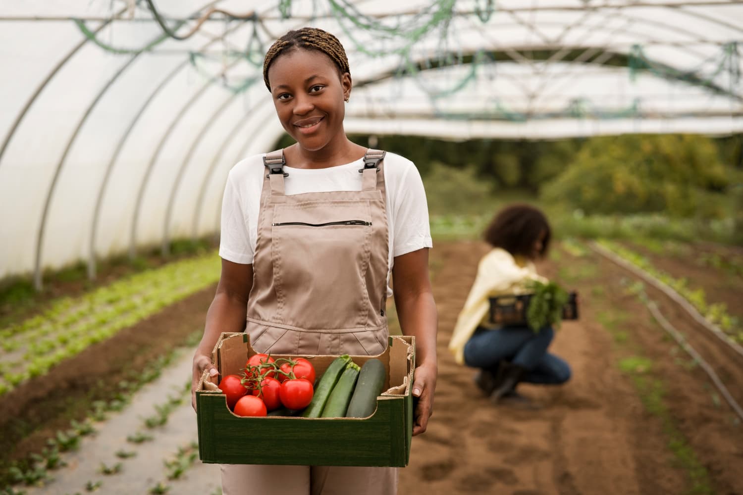 Dakenayop Ferme & Panier Market — DAKENAYOP GROUP