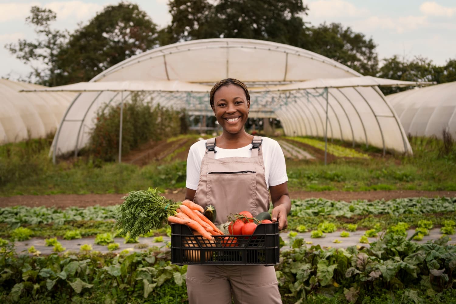 Dakenayop Ferme & Panier Market — DAKENAYOP GROUP