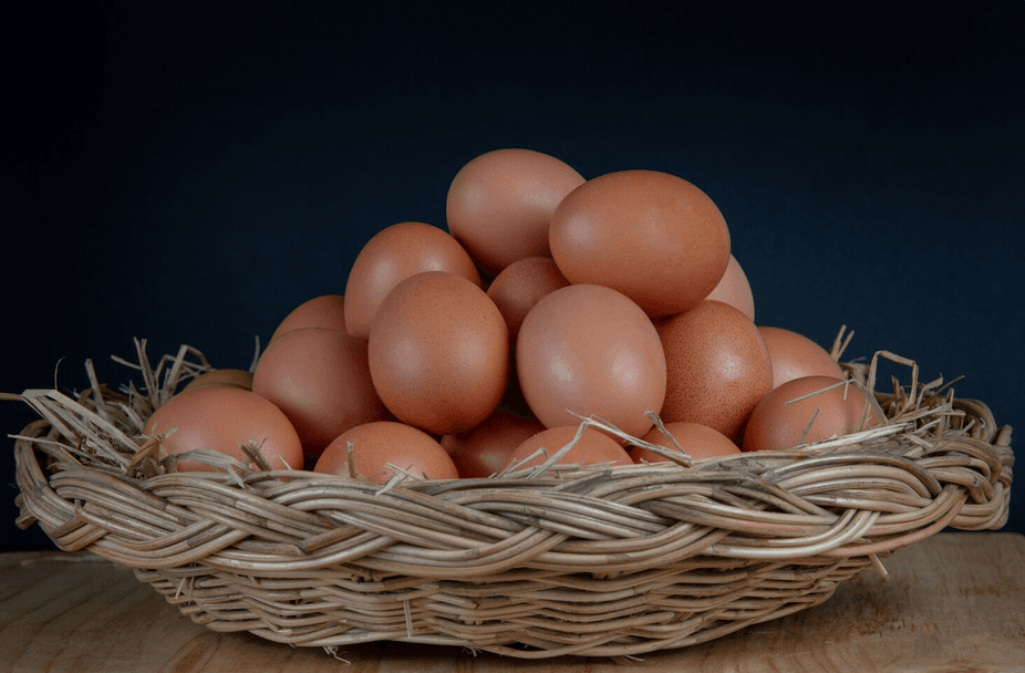 Dakenayop Ferme & Panier Market — DAKENAYOP GROUP