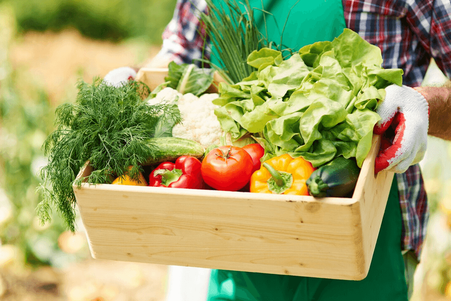 Dakenayop Ferme & Panier Market — DAKENAYOP GROUP